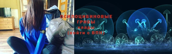 марки lsd Вяземский